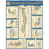 Joints &amp- Ligaments (Quick Study Academic)